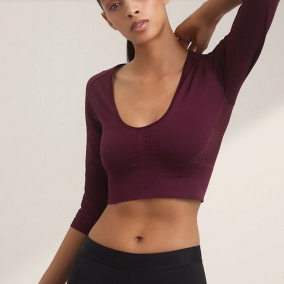 Aritzia Tops - Aritzia Parklife Croped Workout Top